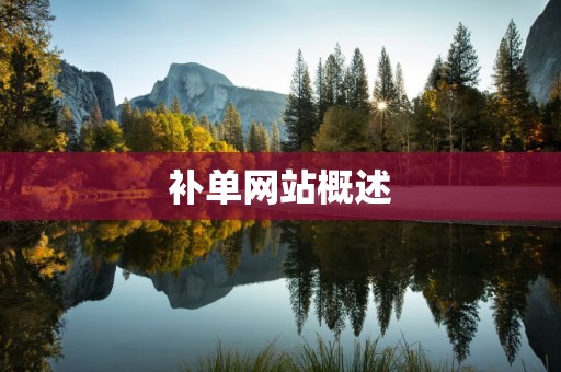 补单网站概述
