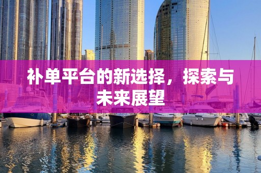 补单平台的新选择，探索与未来展望