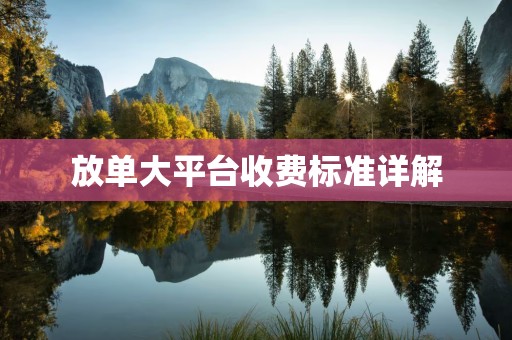 放单大平台收费标准详解