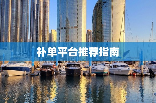 补单平台推荐指南