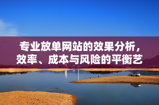 专业放单网站的效果分析，效率、成本与风险的平衡艺术