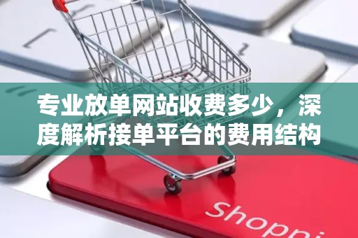 专业放单网站收费多少，深度解析接单平台的费用结构
