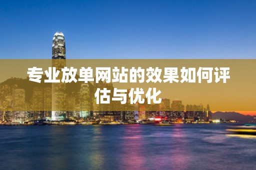 专业放单网站的效果如何评估与优化