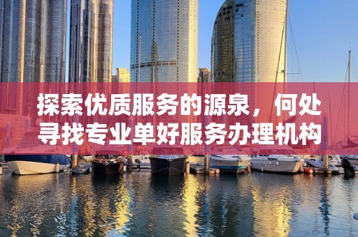 探索优质服务的源泉，何处寻找专业单好服务办理机构
