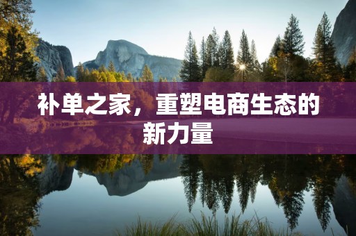 补单之家，重塑电商生态的新力量