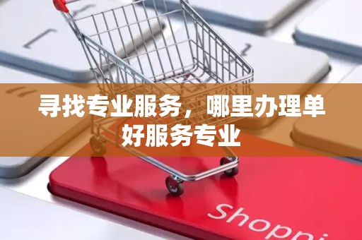 寻找专业服务，哪里办理单好服务专业