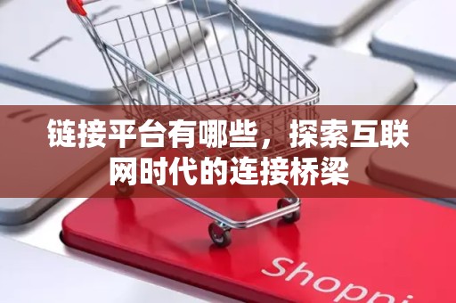 链接平台有哪些，探索互联网时代的连接桥梁