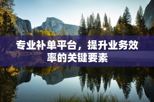 专业补单平台，提升业务效率的关键要素