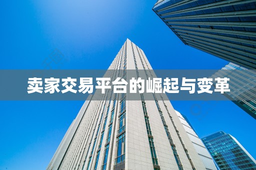 卖家交易平台的崛起与变革