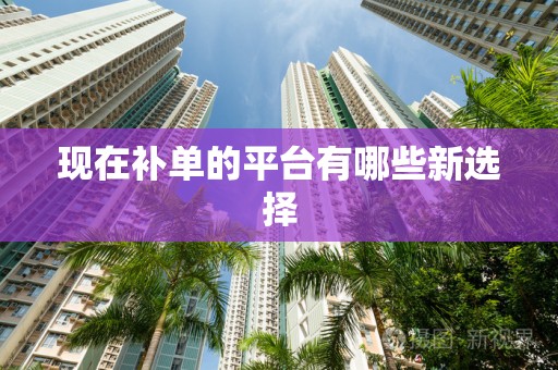 现在补单的平台有哪些新选择