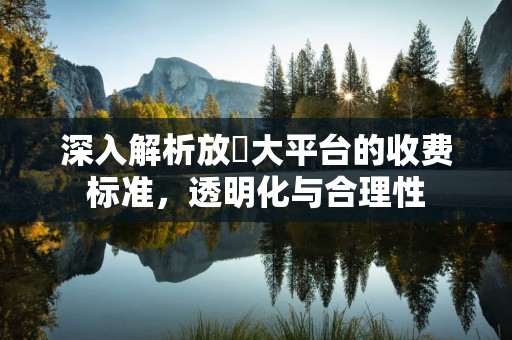 深入解析放單大平台的收费标准，透明化与合理性