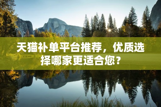 天猫补单平台推荐，优质选择哪家更适合您？