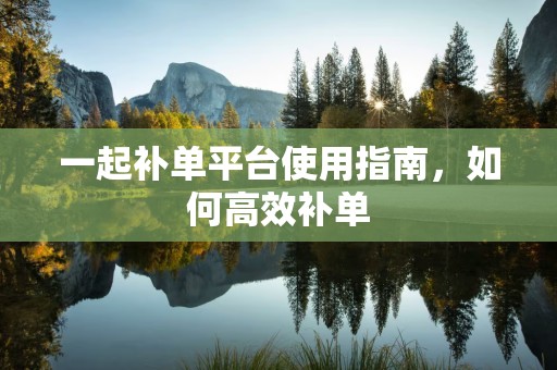 一起补单平台使用指南，如何高效补单