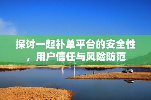 探讨一起补单平台的安全性，用户信任与风险防范