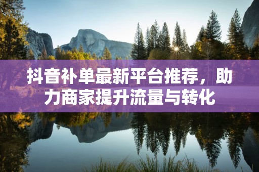 抖音补单最新平台推荐，助力商家提升流量与转化