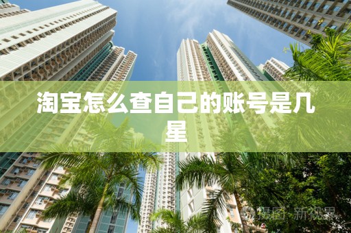 淘宝怎么查自己的账号是几星