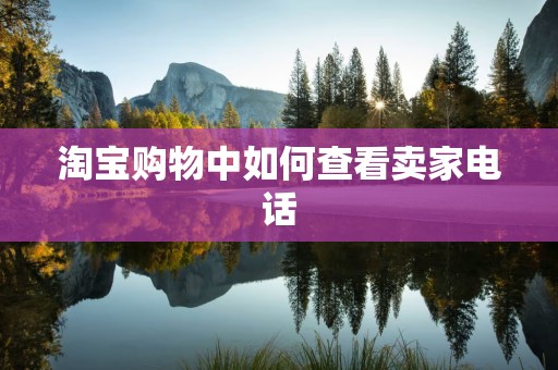 淘宝购物中如何查看卖家电话