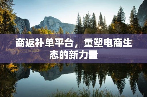 商返补单平台，重塑电商生态的新力量