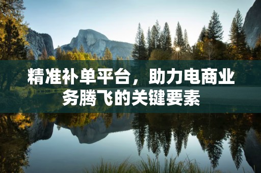 精准补单平台，助力电商业务腾飞的关键要素