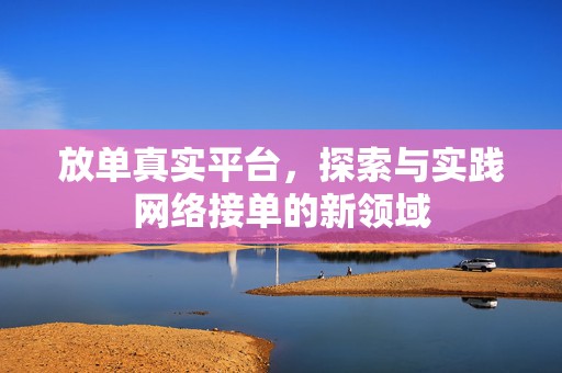 放单真实平台，探索与实践网络接单的新领域