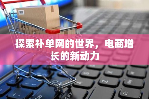 探索补单网的世界，电商增长的新动力