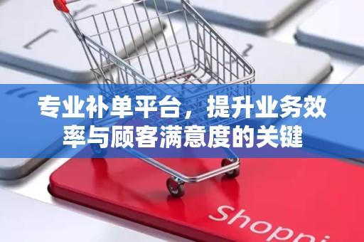 专业补单平台，提升业务效率与顾客满意度的关键