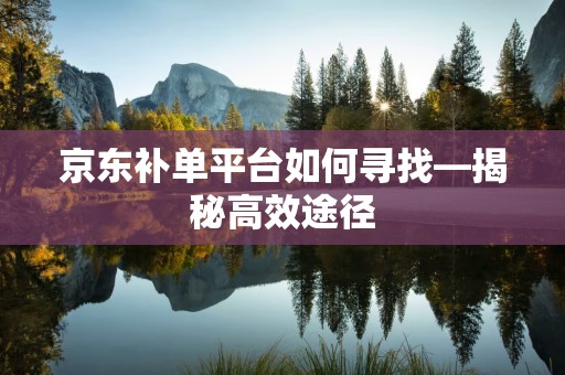 京东补单平台如何寻找—揭秘高效途径