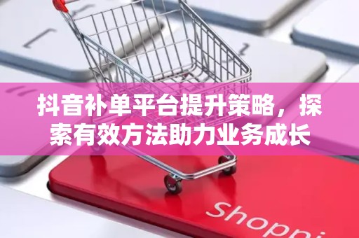 抖音补单平台提升策略，探索有效方法助力业务成长