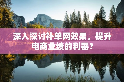 深入探讨补单网效果，提升电商业绩的利器？