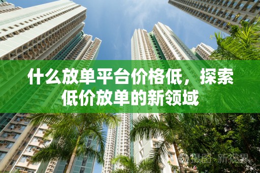 什么放单平台价格低，探索低价放单的新领域