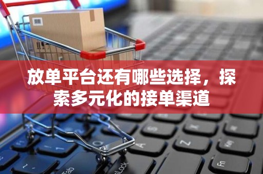 放单平台还有哪些选择，探索多元化的接单渠道