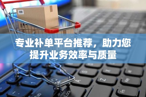 专业补单平台推荐，助力您提升业务效率与质量