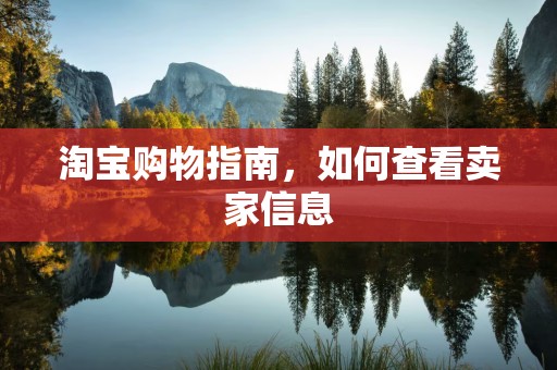 淘宝购物指南，如何查看卖家信息
