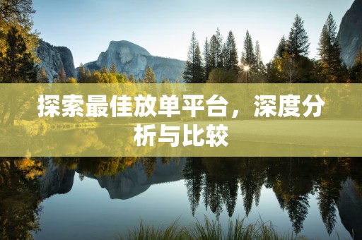 探索最佳放单平台，深度分析与比较