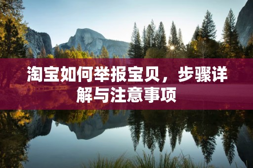 淘宝如何举报宝贝，步骤详解与注意事项