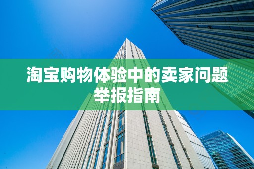 淘宝购物体验中的卖家问题举报指南