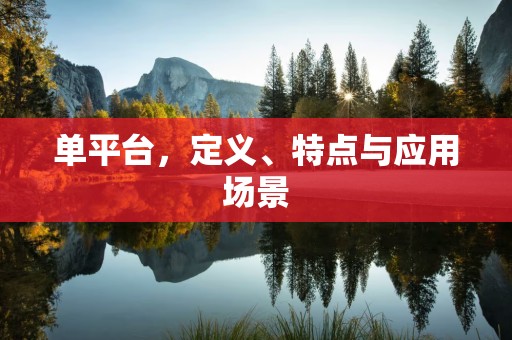 单平台，定义、特点与应用场景
