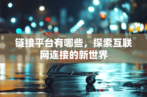 链接平台有哪些，探索互联网连接的新世界