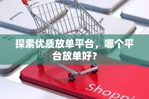 探索优质放单平台，哪个平台放单好？