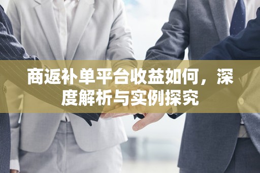 商返补单平台收益如何，深度解析与实例探究