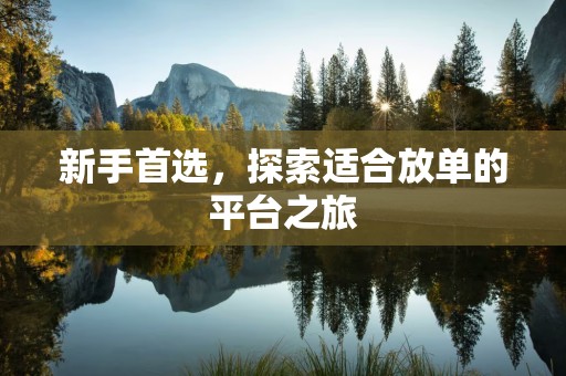 新手首选，探索适合放单的平台之旅