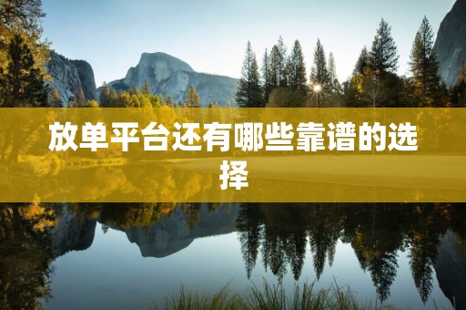 放单平台还有哪些靠谱的选择