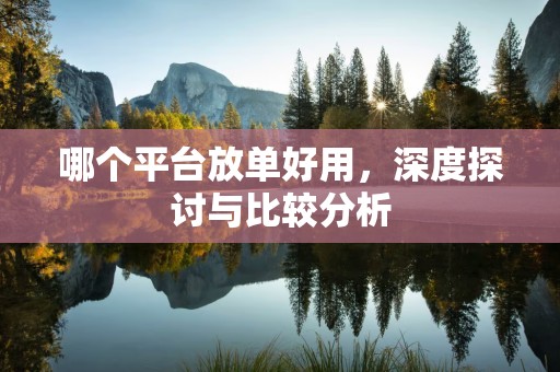 哪个平台放单好用，深度探讨与比较分析