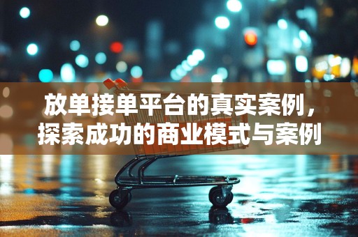 放单接单平台的真实案例，探索成功的商业模式与案例解析