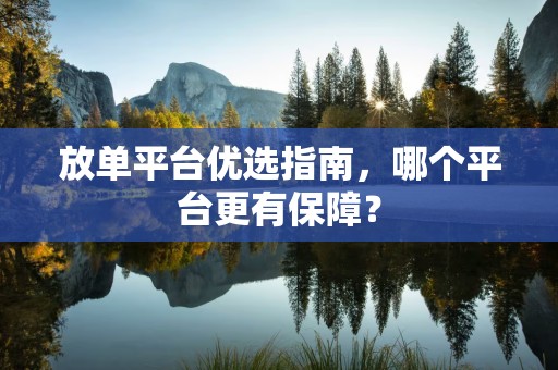 放单平台优选指南，哪个平台更有保障？
