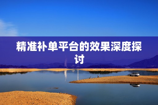 精准补单平台的效果深度探讨