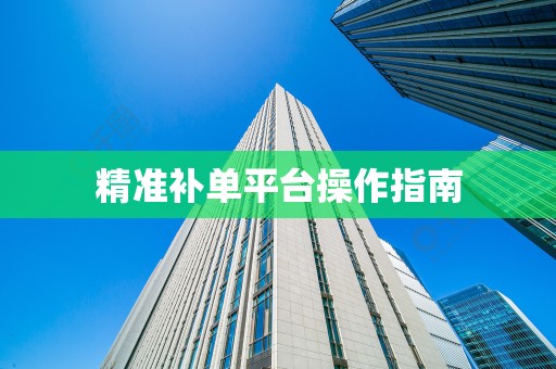 精准补单平台操作指南