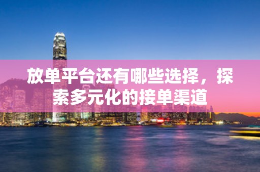 放单平台还有哪些选择，探索多元化的接单渠道