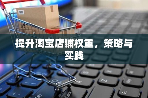 提升淘宝店铺权重，策略与实践