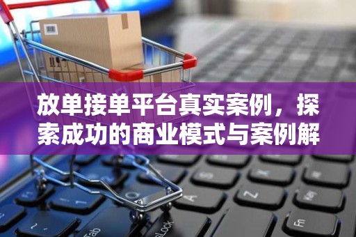 放单接单平台真实案例，探索成功的商业模式与案例解析